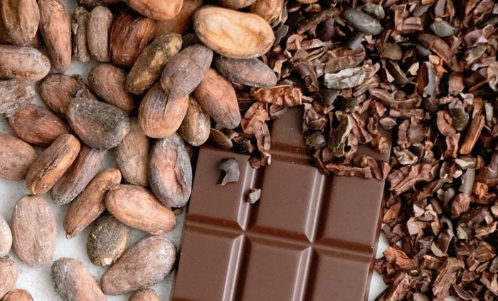 Chocolate Festival of Wales